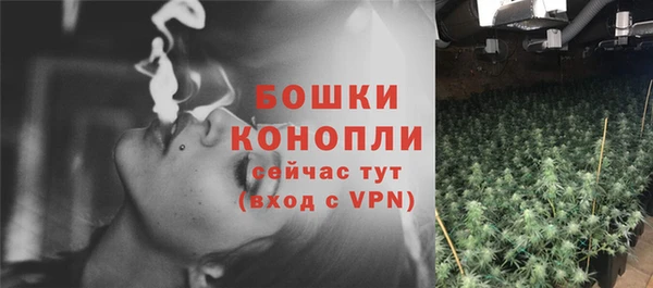 mix Белокуриха