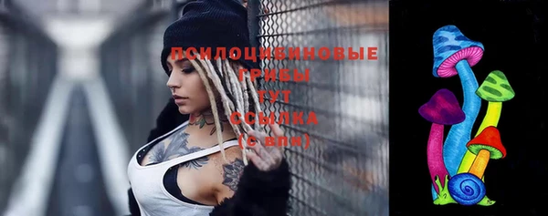 mix Белокуриха