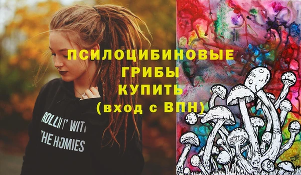 соль курить ск Тайга