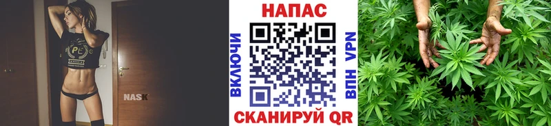 цены   Вязники  Конопля VHQ 